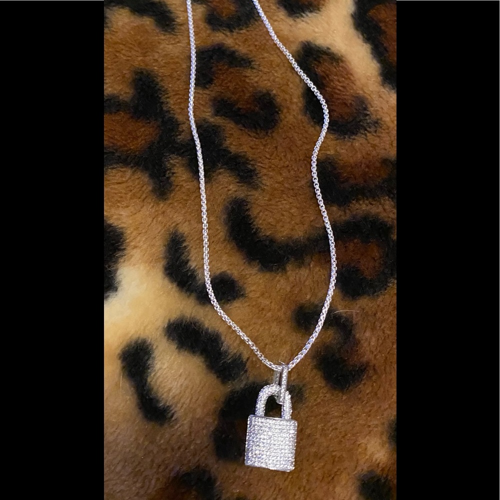 Silver Lock - Picture 2 of 2